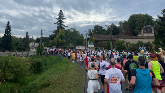 Marathon du Médoc: "The Longest Marathon in the World"